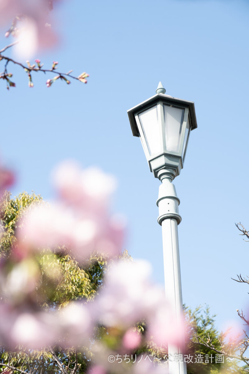 街灯と桜の写真